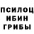 Псилоцибиновые грибы Cubensis Synzarius