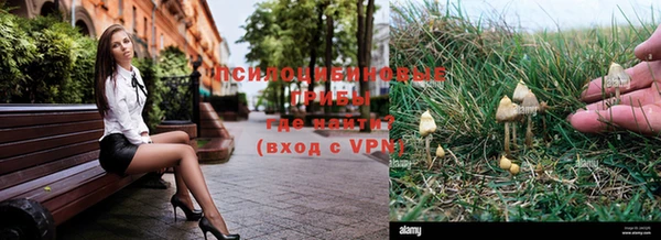 спиды Верея