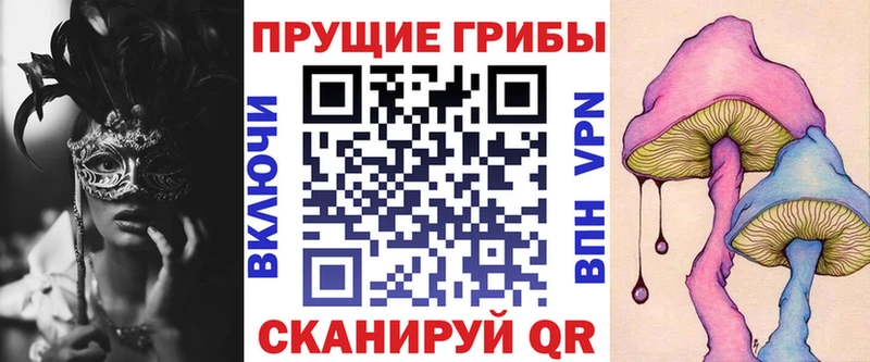 наркота Каменка Псилоцибиновые грибы Psilocybe